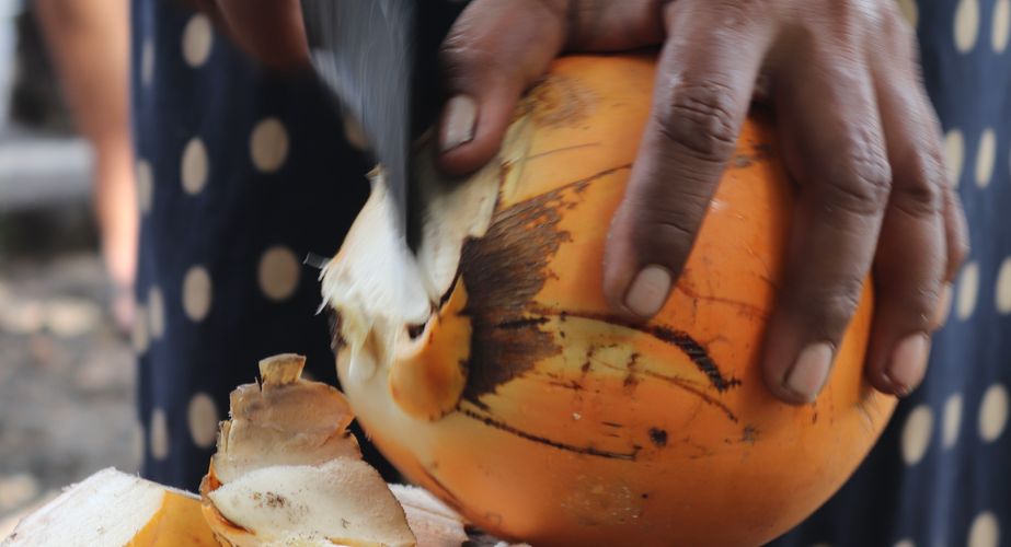 Kokosnoten Sri Lanka